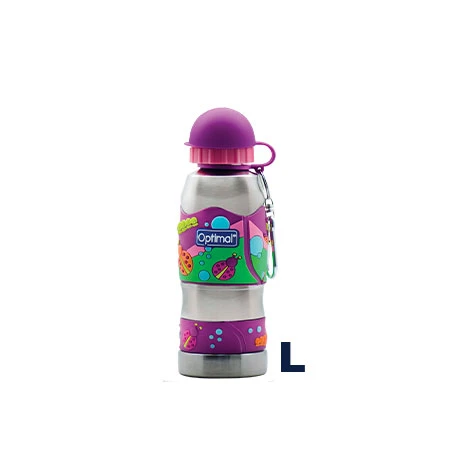 Stainless Steel Water Bottle (450ML)