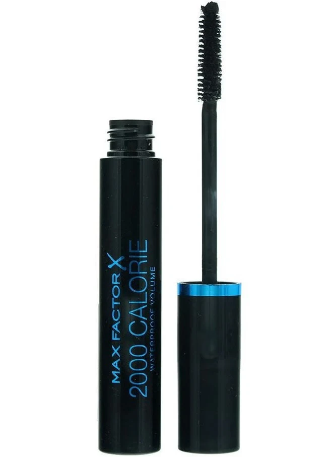 Max Factor 2000 Calorie Mascara Waterproof