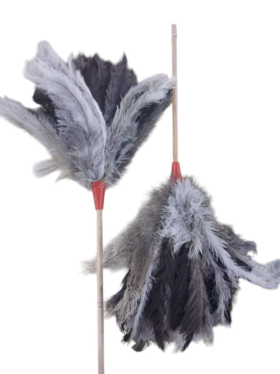 Feather duster